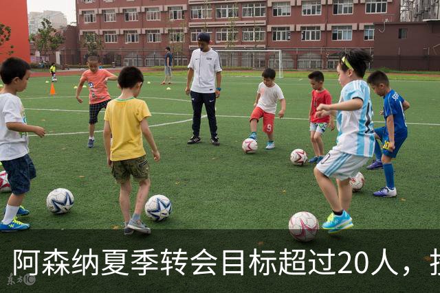 阿森纳夏季转会目标超过20人，投入近4.5亿英镑