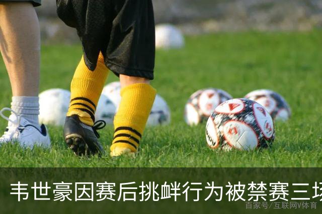 韦世豪因赛后挑衅行为被禁赛三场并罚款