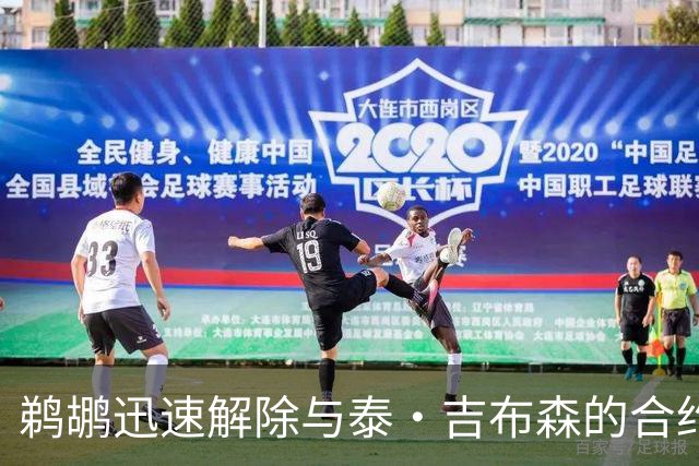 鹈鹕迅速解除与泰·吉布森的合约