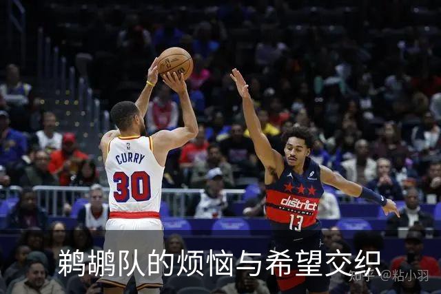 鹈鹕队的烦恼与希望交织