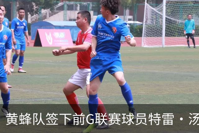 黄蜂队签下前G联赛球员特雷·汤森