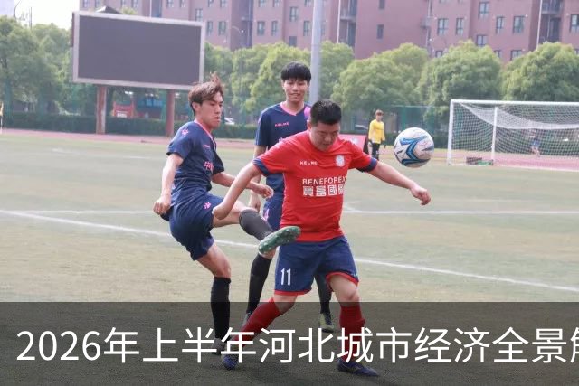2026年上半年河北城市经济全景解析
