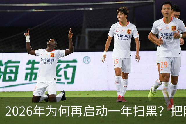 2026年为何再启动一年扫黑？把隐蔽势力彻底拔除