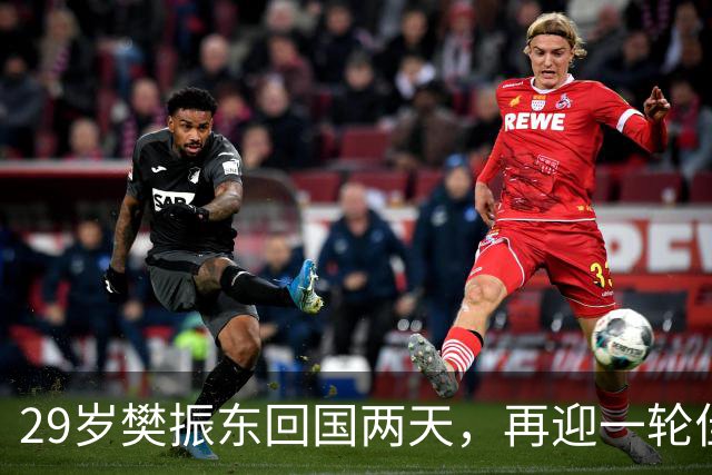 29岁樊振东回国两天，再迎一轮佳讯