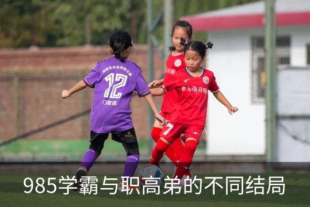 985学霸与职高弟的不同结局